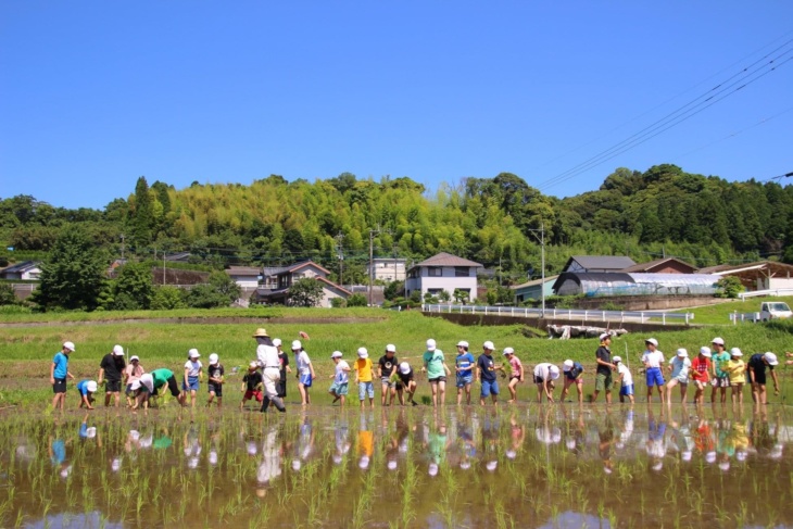 鹿児島三育小学校の田植え活動