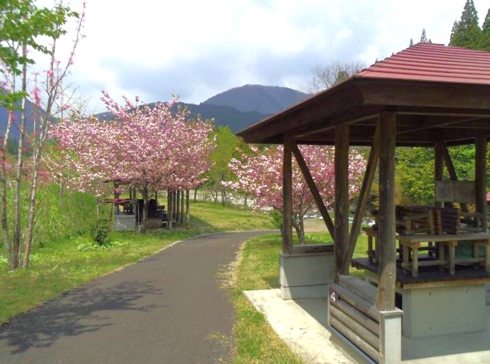 バーベキューハウス四季の森のバーベキュー場から見える桜の景色