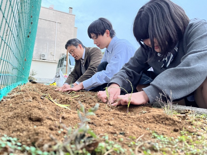 松徳学院中学校高等学校の松徳メソッドのジャガイモ研究会