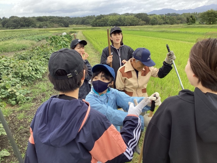 園田学園中学校・高等学校の中学2年生が行う農村体験の様子