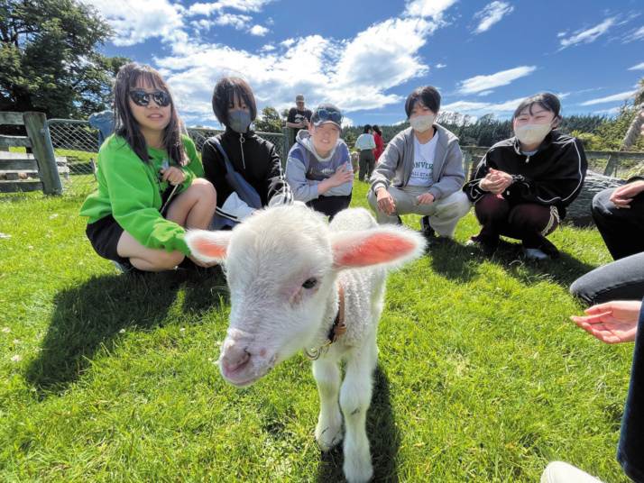 園田学園中学校・高等学校のニュージーランド海外研修の様子