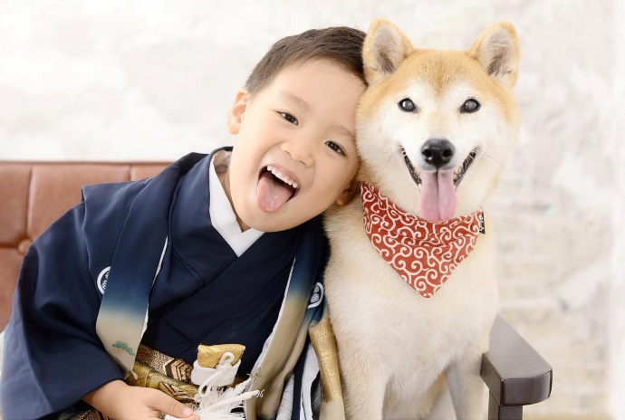 フォトスタジオCocoaで犬と一緒に七五三撮影をする男の子