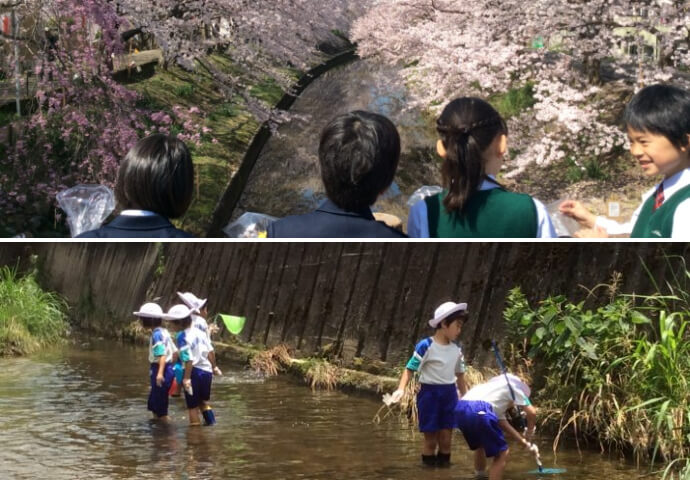 佐保川を探検する奈良育英グローバル小学校の児童たち