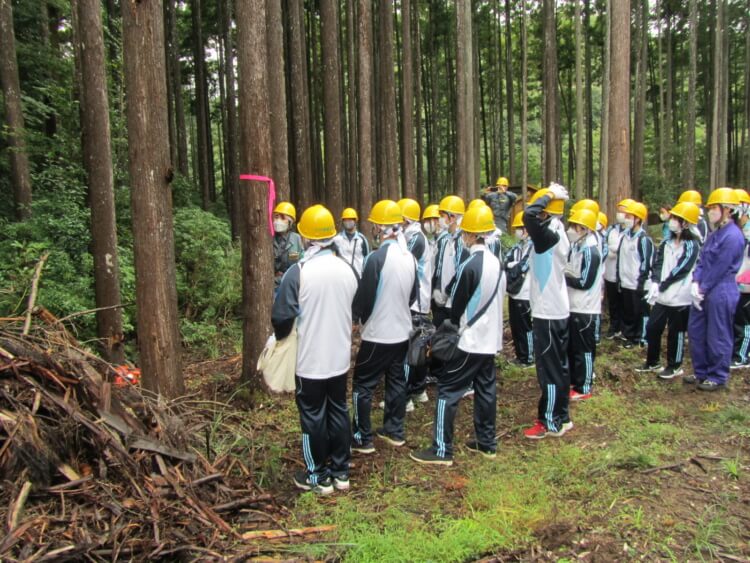 橘学苑高等学校の間伐材の伐採風景を見学する研修風景