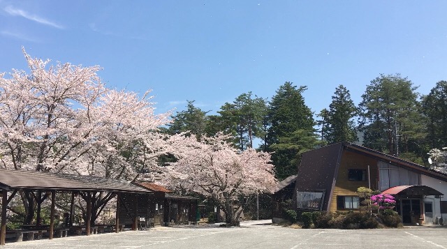 高取山ふれあい公園キャンプ場の桜