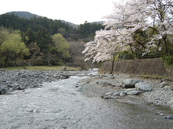 「滝沢園キャンプ場」の敷地内を流れる清流・水無川