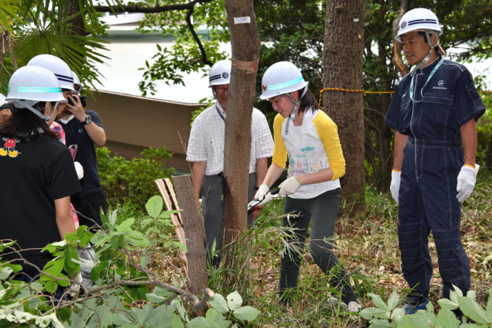 敷地内の木を伐採する玉川学園中学部・高等部の生徒