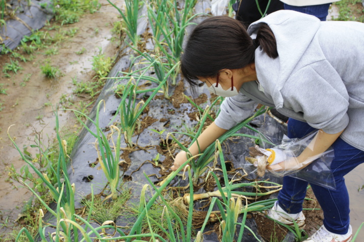 玉川聖学院中等部・高等部の総合学習の様子