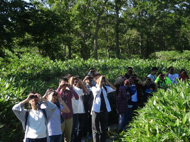 森の中に並び双眼鏡を覗き込む東海大学菅生高等学校中等部の生徒たち