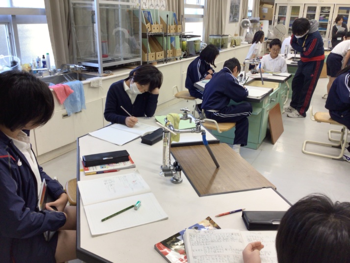 トキワ松学園小学校の授業風景