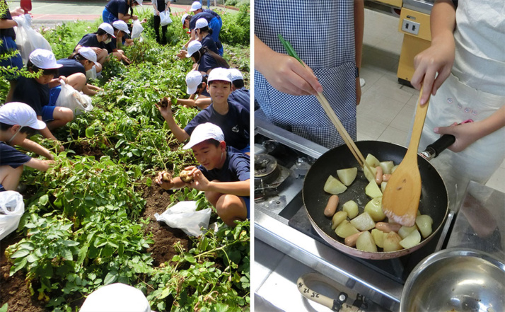 東京三育小学校のエディブル・スクールヤードと畑で栽培されたジャガイモを調理する児童たち