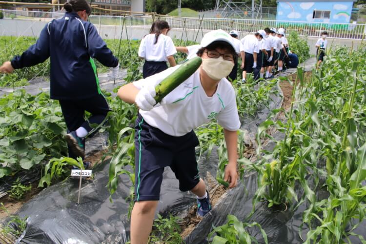 東明館中学校・高等学校の畑・食育