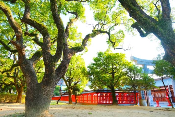 十日恵比須神社の境内と周辺の風景