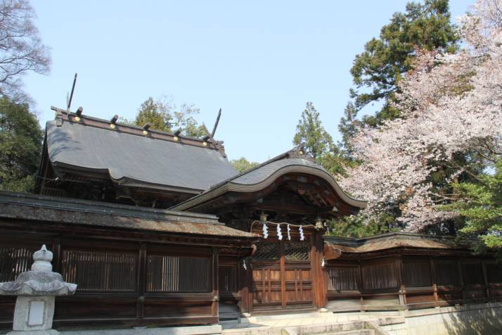 歴史を感じる豊満神社本殿の姿