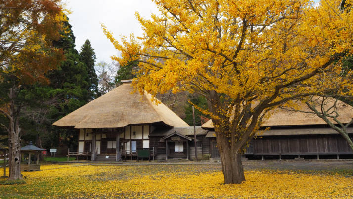 北海道伊達市にある有珠善光寺の大銀杏とお堂