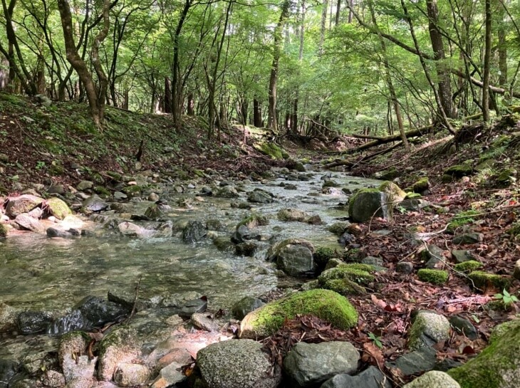 キャンプ場「ビアッソ（VIASSO）」敷地内の幻の清流（梅雨時）