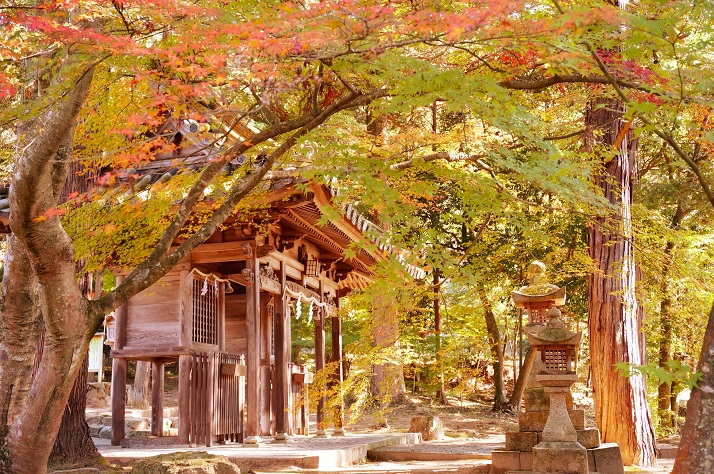 和氣神社の紅葉