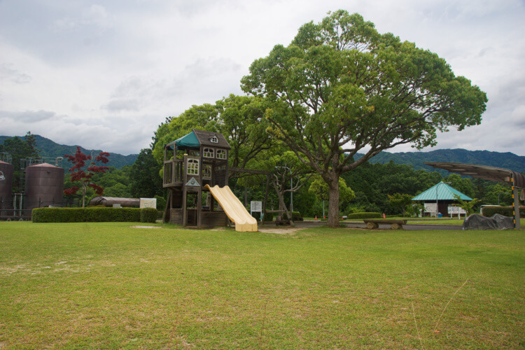 島ヶ原温泉やぶっちゃオートキャンプ場の芝生エリア