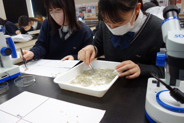 青山学院横浜英和中学高等学校の理科の授業