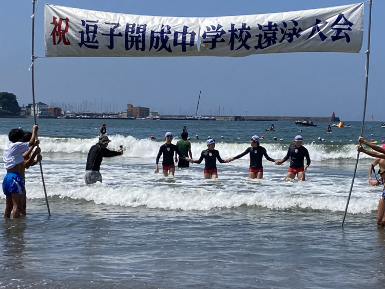 逗子開成中学校の遠泳大会の風景